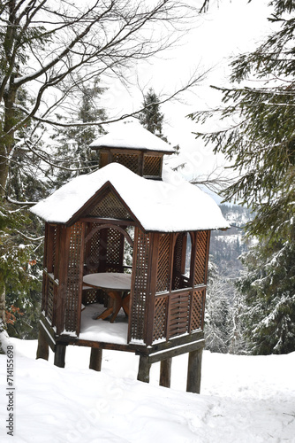 wooden house in the forest