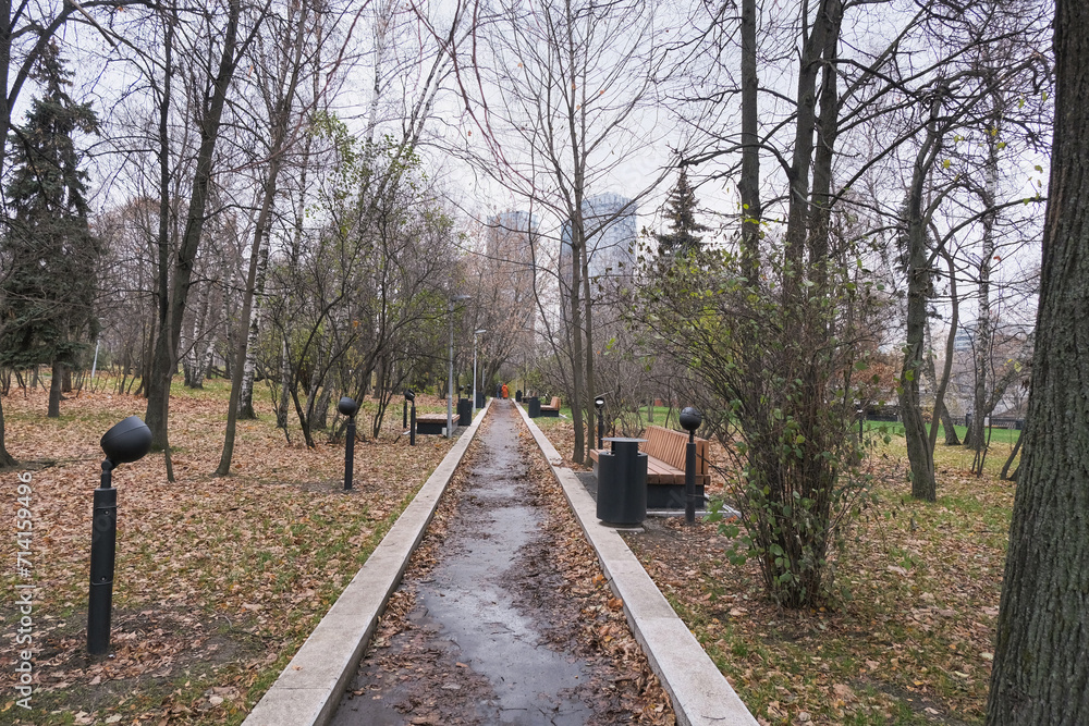 beautiful asphalt path with a smooth edge of benches and lanterns in autumn in rainy weather beautiful asphalt path with a smooth edge of benches and lanterns in autumn in rainy weather