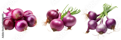 Set of purple onions isolated on transparent or white background