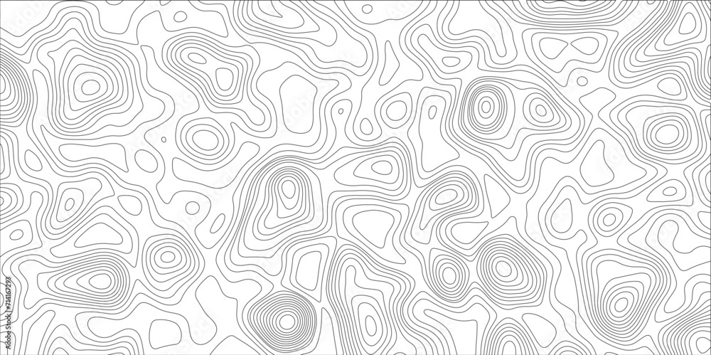 Abstract lines background. Contour maps. Vector illustration. The stylized height of the topographic map contour in lines and contours isolated on transparent. technology topo landscape grid map text. Abstract lines background. Contour maps. Vector illustration. The stylized height of the topographic map contour in lines and contours isolated on transparent. technology topo landscape grid map text.