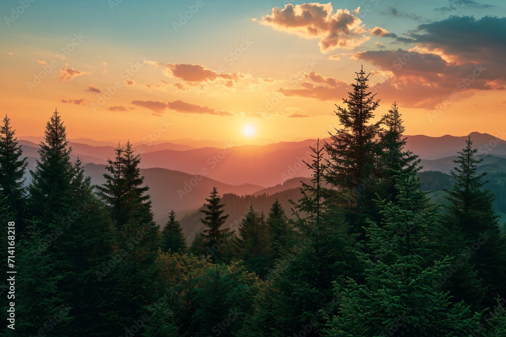 beautiful sunset and pine forest in the mountains