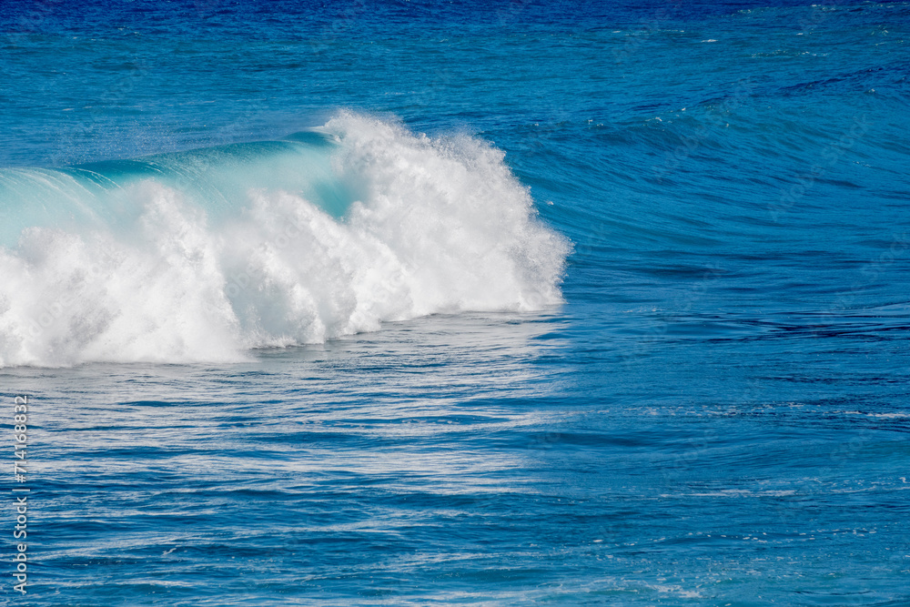 Fototapeta premium 2023-canarie-0839