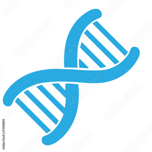 Molecular structure and DNA vector set