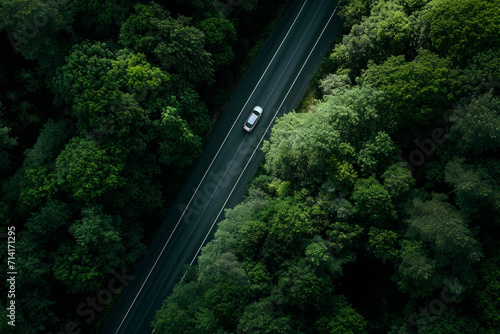 A solitary car journeys along a road, a divide amidst a verdant sea of treetops, a testament to man's path through nature