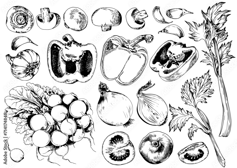 Set of vegetables. Mushroom, bell pepper, tomato and celery collection. Black and white vector illustration.
