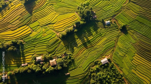 An aerial shot of terraced rice fields surrounded by green trees and buildings.