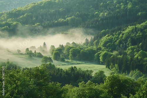 rural spring landscape with valley in fog