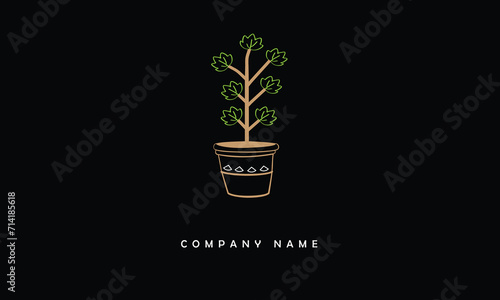 Plant logo design with pot