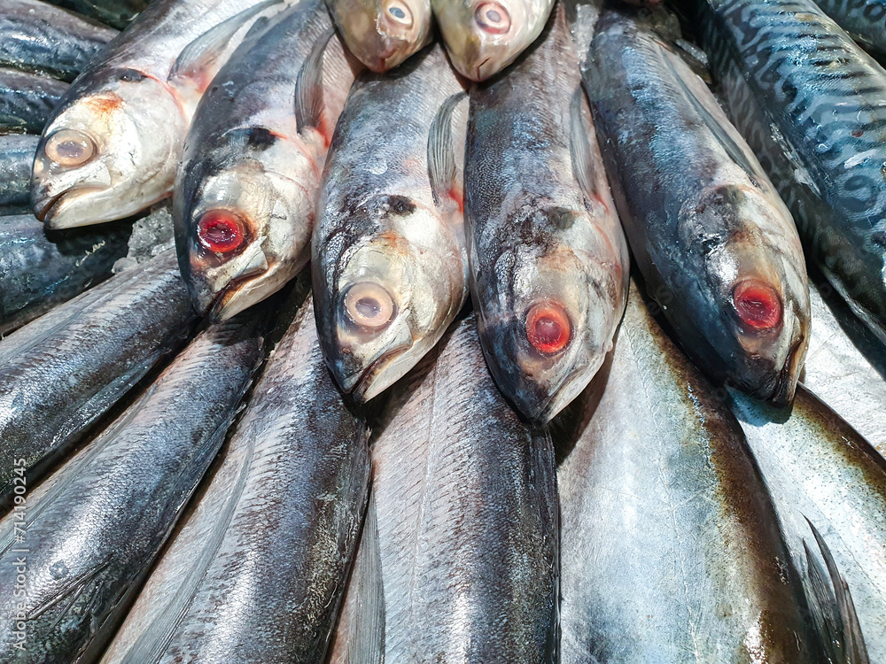 Obraz premium Fresh Fish from the sea to your table, Grouper, Snapper, Ice, Sea, Fishing