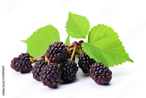 Mulberry fruit, isolated white background