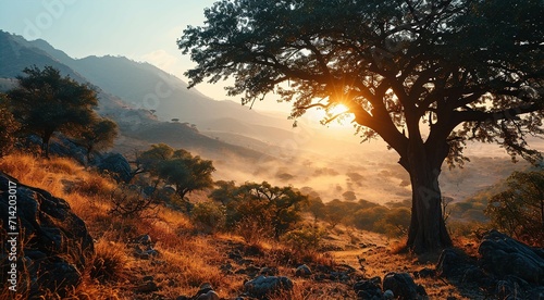 Sunrise in the African savanna inspired by   South Africa nature