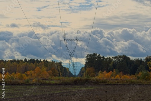 Obraz na płótnie Linia elektryczna przez pola uprawne. Linia zawieszona jest na metalowych podporach. W oddali po obu stronach linii widać gęstwinę krzewów pokrytych żółtymi liśćmi. Niebo jest pokryte chmurami. w salonie