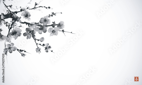  Minimalist sumi-e painting of sakura branches, with delicate cherry blossoms painted with black ink. Traditional oriental ink painting sumi-e, u-sin, go-hua. Translation of hieroglyph - joy