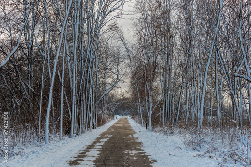 Beautiful Snow Covered Trees Along The Fox River Trail After A Large January Snowstorm in De Pere, Wisconsin