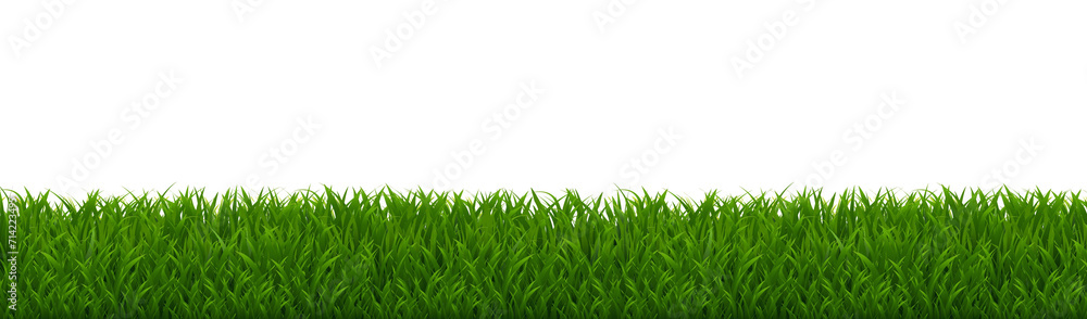 Fototapeta premium Grass Border Isolated White Background