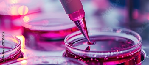 Cell culture in genetic, bioprocess, and medical laboratories for medical purposes. photo
