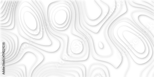 3d render, abstract white paper background. Paper cut vector art background banner texture. multi layer cutout geometric pattern on vector, Abstract soft white background with waves.	