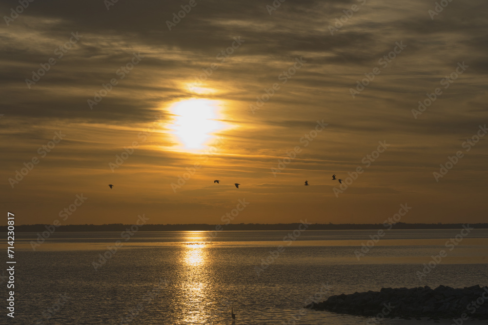 Ocean sunset with birds and clouds.