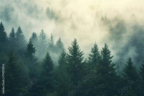 Foggy landscape with fir forest in retro vintage hipster style, nature concept photo