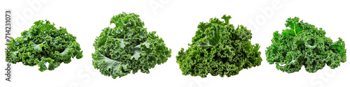 Kale Vegetables Pile Of Heap Of Piled Up Together Hyperrealistic Highly Detailed Isolated On Transparent Background Png File