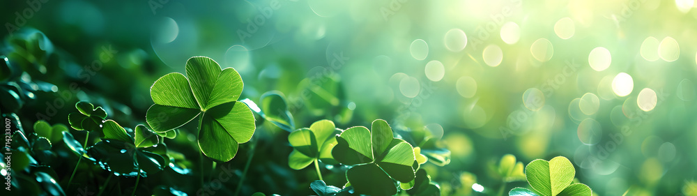happy new year banner with four-leaf clover as a lucky charm on blurred background happy new year banner with four-leaf clover as a lucky charm on blurred background