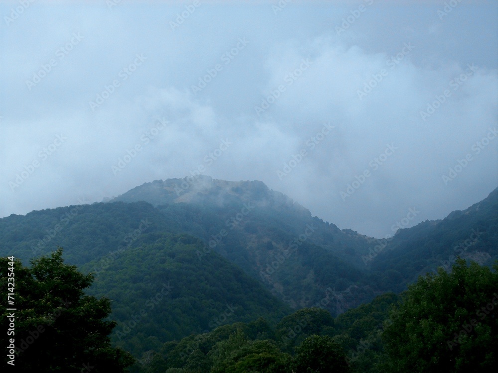 Panorama Etneo, tra montagnole alberate e nebbia.
