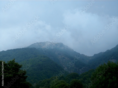 Panorama Etneo, tra montagnole alberate e nebbia.