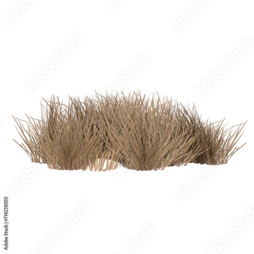 3d render dry dead grass path isolated