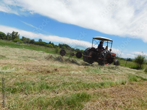 Tractor pulling a rake over a cut Lucerne Field under a blue sky with streaky white clouds, on a farmland in South Africa