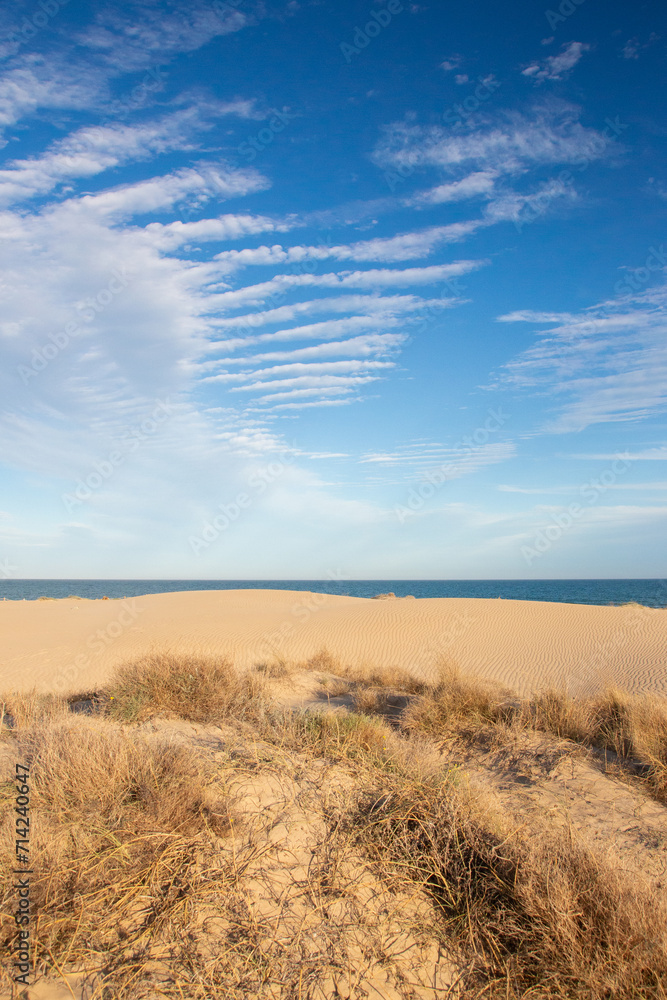 Vega Baja del Segura - Guardamar del Segura - El precioso paisaje de las dunas de Guardamar del Segura Vega Baja del Segura - Guardamar del Segura - El precioso paisaje de las dunas de Guardamar del Segura