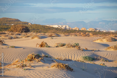 Vega Baja del Segura - Guardamar del Segura - El precioso paisaje de las dunas de Guardamar del Segura photo