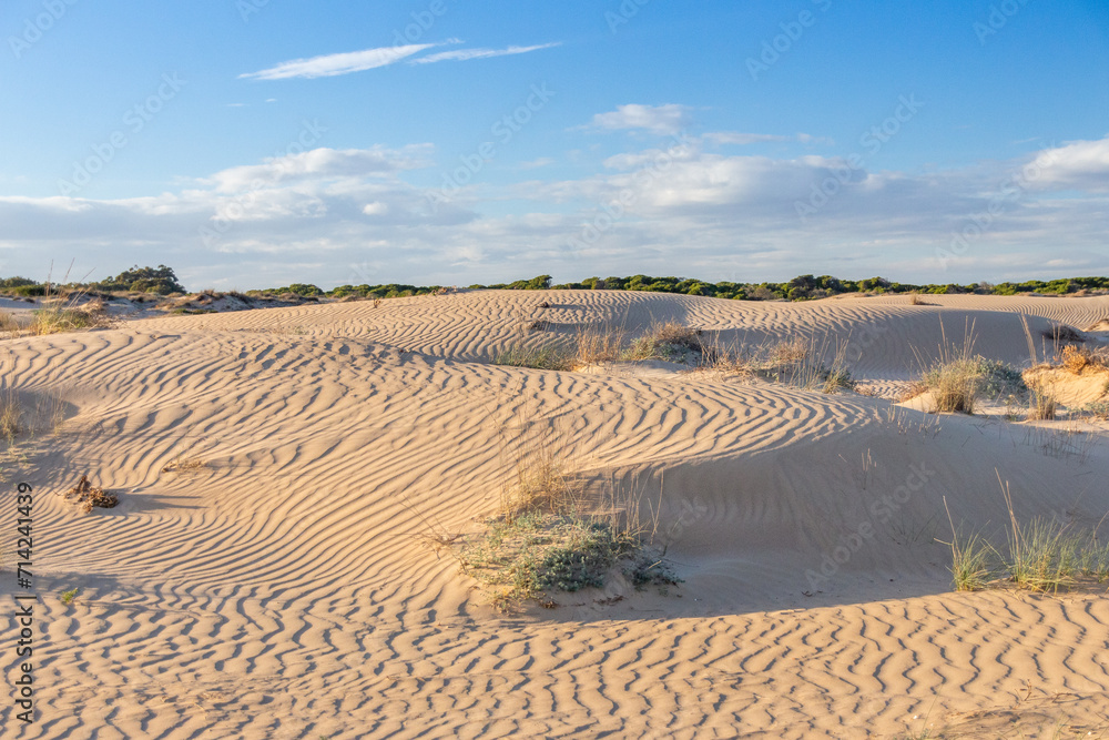 Vega Baja del Segura - Guardamar del Segura - El precioso paisaje de las dunas de Guardamar del Segura