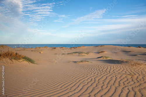 Vega Baja del Segura - Guardamar del Segura - El precioso paisaje de las dunas de Guardamar del Segura