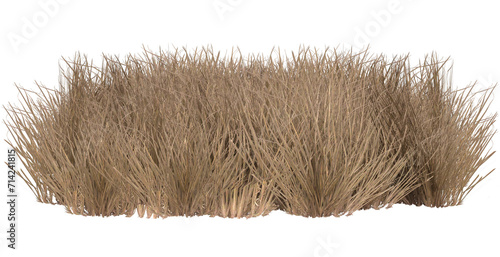 3d render dry dead grass path isolated