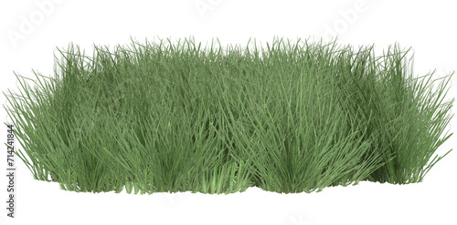 3d render green grass path isolated