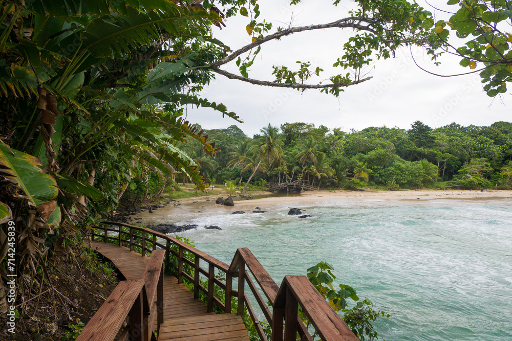 Panama Beach Rain Forest