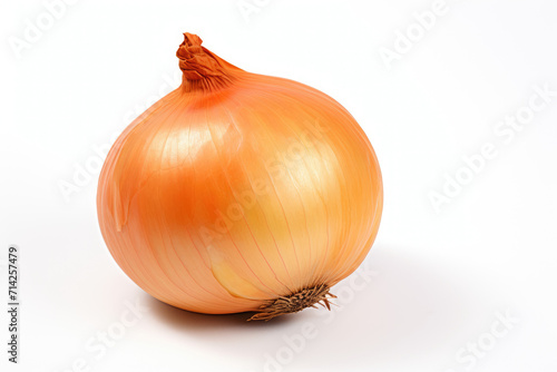 Single onion, isolated white background
