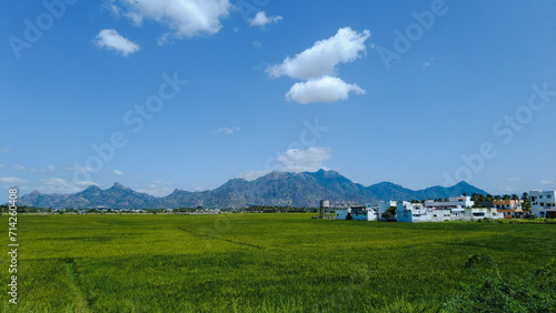 Nanjinaad paddy field and western ghats mountain range kanyakumari, Tamil Nadu, India 