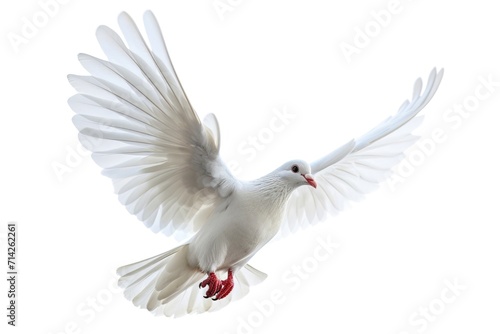 A white dove gracefully soars through the air with its wings fully extended. This image can be used to symbolize peace, freedom, and spirituality
