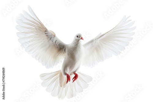 A white dove flying gracefully in the air with its wings spread wide. This image can be used to symbolize peace, freedom, and hope