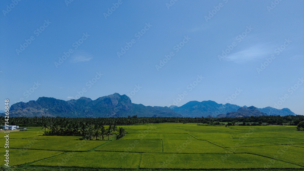 Nanjinaad paddy field and western ghats mountain range kanyakumari, Tamil Nadu, India 