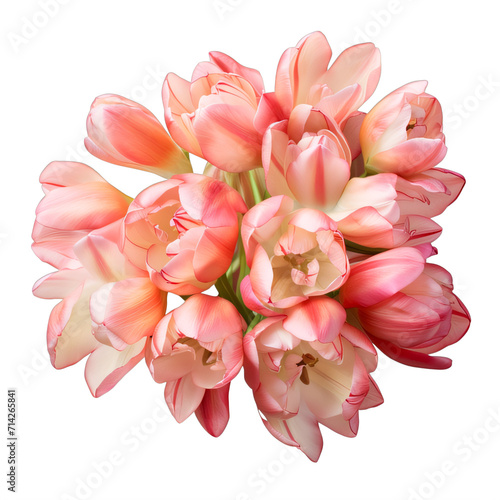 A bouquet of pink tulips on a transparent background png isolated