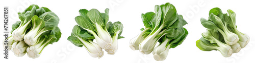 Bok choy Pak choi Vegetables Pile Of Heap Of Piled Up Together Hyperrealistic Highly Detailed Isolated On Transparent Background Png File photo