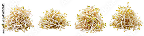 Bean sprouts Vegetables Pile Of Heap Of Piled Up Together Hyperrealistic Highly Detailed Isolated On Transparent Background Png File