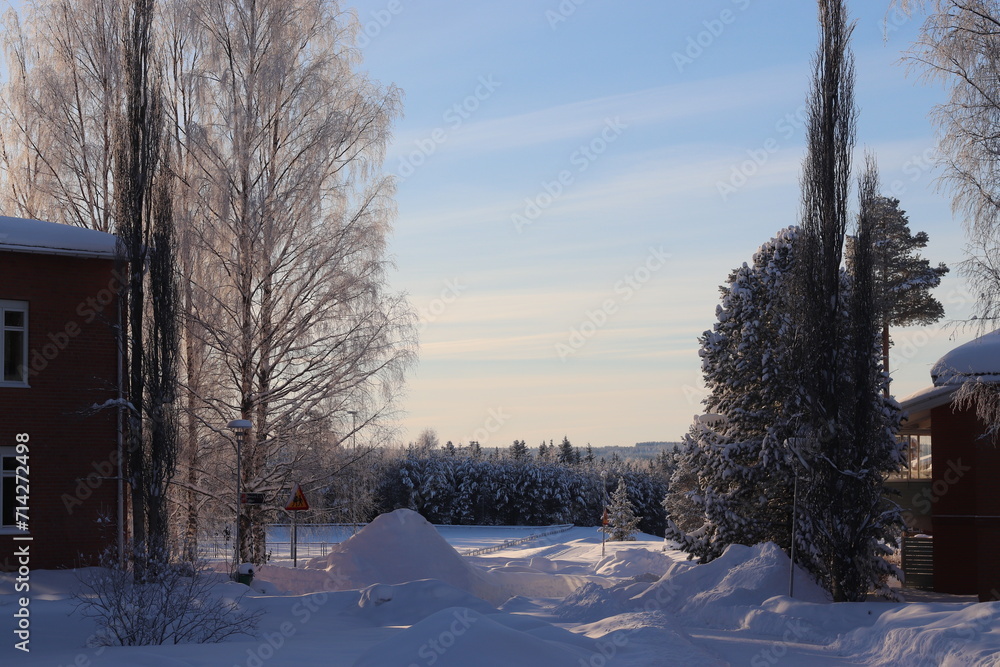 winter landscape in the village