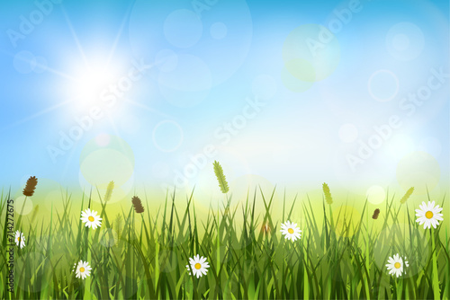 Spring background with sunshine, blurry lights, meadow and wild flowers