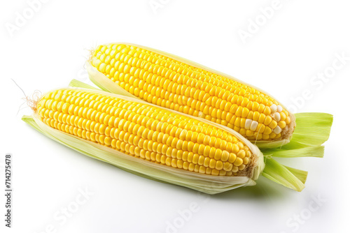 Sweet corn, isolated white background