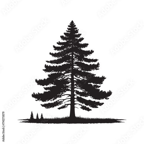 Silhouetted Woodland Sonata: Nature Silhouette - Pine Tree Silhouette Set Composing a Melodious Sonata in the Silhouetted Symphony of Woodland - Pine Tree Illustration - Nature Vector
