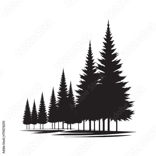 Silhouetted Symphony of Seasons: Pine Tree Silhouette Set Portraying the Ever-Changing Elegance of Nature's Dance - Pine Tree Illustration - Nature Vector
