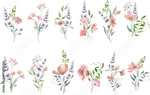 Floral watercolor set. Hand drawn illustration isolated on  a transparent background. Vector EPS.